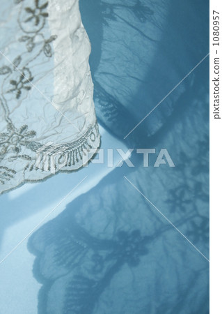 Lace and shadow (blue) 1080957