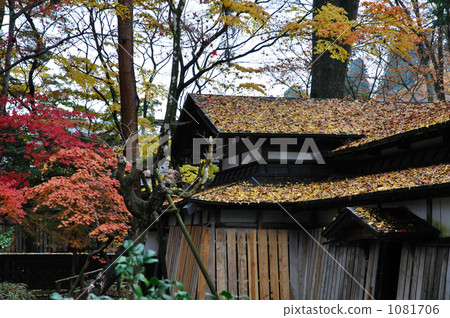 Walking around the Kakunodate · samurai house street Odano family Walking around the Kakunodate · samurai house street Odano family 1081706