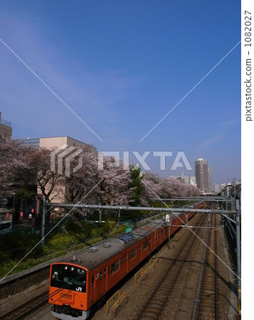 Near central line Higashi Nakano near the cherry blossoms 1082027