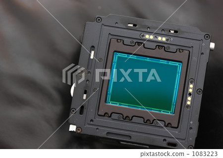 數碼相機背面的大型CCD傳感器 數碼相機背面的大型CCD傳感器 1083223