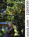 Seedling Yuzu Tree Seedling Yuzu Tree 1084390