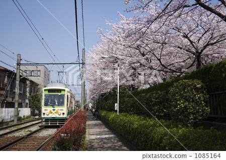 Cherry blossoms and electric cars 1085164