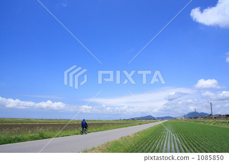 Refreshing blue sky and one road 1085850