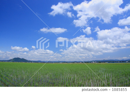 秋田平原鄉下風景 1085855