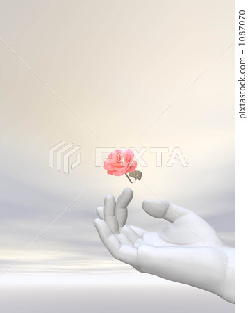 鮮花和手 1087070