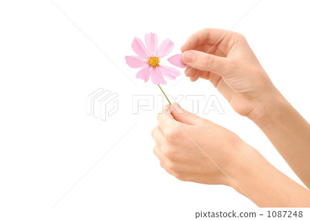 Takarena 0208 1087248