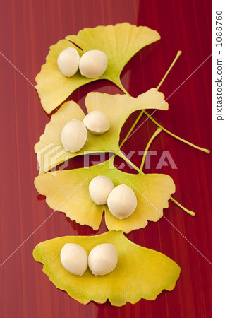 Ginkgo noodles Ginkgo noodles 1088760