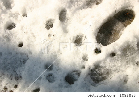 Snow footprints Snow footprints 1088885