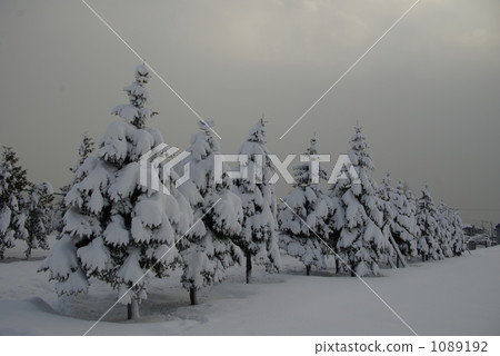 snow day snow day 1089192