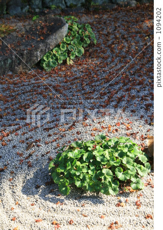 Leaves of the fallen leaves Leaves of the fallen leaves 1094202