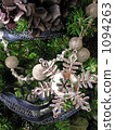 It is up of decorated Christmas tree. It is up of decorated Christmas tree. 1094263