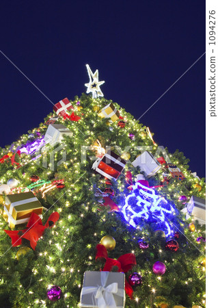 december, illumination, christmas tree 1094276