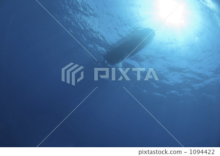 船的底部 水生的 水下 1094422