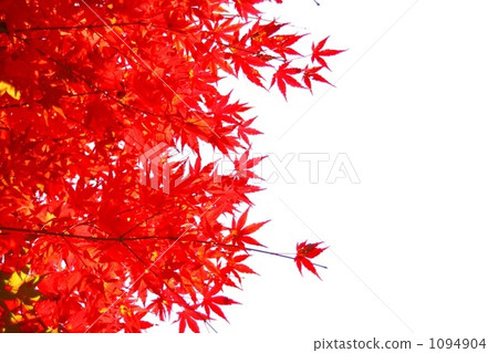 Burning Autumn 1094904