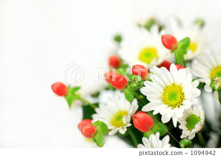 克里斯安化學 1094942