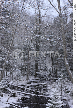 Snow scene Snow scene 1095402