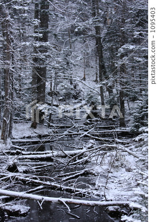 Snow scene 1095403