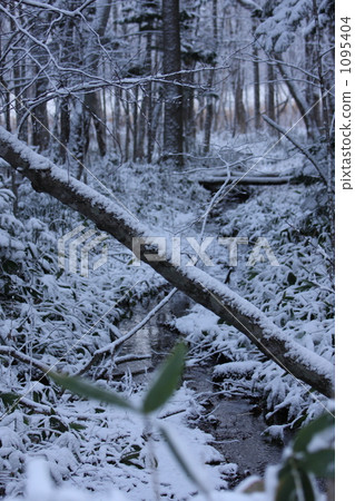 Snow scene Snow scene 1095404