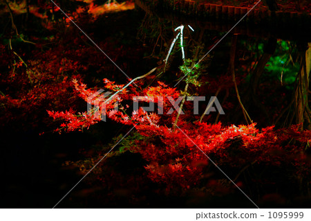 大陸寺秋葉2009年 - 倒秋葉-03 1095999