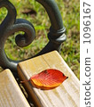 Fallen leaves on the bench 1096167