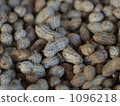 Peanut with shell 1096218