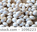 Ginkgo 1096223