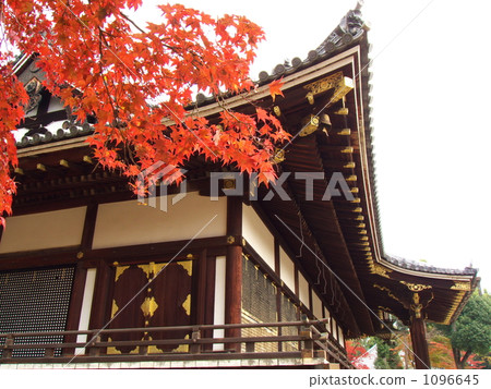 Ninna籍寺廟秋葉 - 6 Ninna籍寺廟秋葉 - 6 1096645