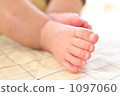 infant, feet, paw 1097060