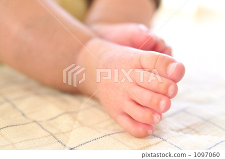 infant, feet, paw 1097060