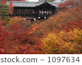 Tofukuji 2009 1097634