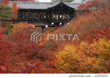 Tofukuji 2009 Tofukuji 2009 1097634