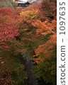 Tofukuji 2009 1097635