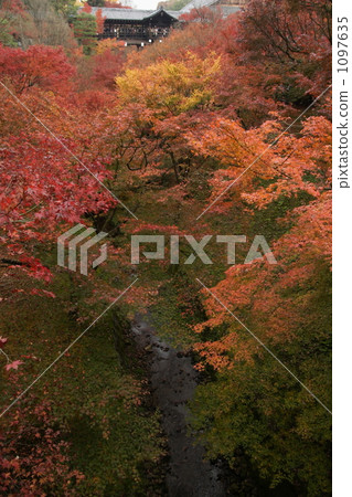 Tofukuji 2009 Tofukuji 2009 1097635