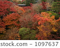 Tofukuji 2009 1097637