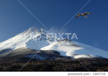 Mount Fuji and Dragonfly Mount Fuji and Dragonfly 1097750