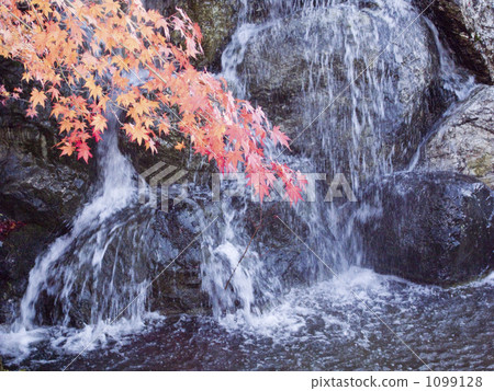 瀑布和秋葉 1099128