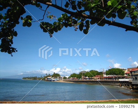 Coast of Lahaina 1099276