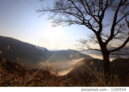 在清晨皇冠森林路2號 1100504