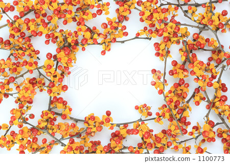 Scalloped maple and copy space Scalloped maple and copy space 1100773