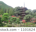 Rurikoji Temple Five Story Tower 1101624