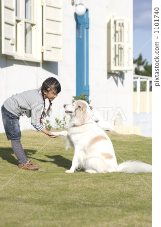 teenage girl, girl, dog 1101740