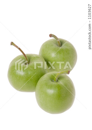 Rinko公主 Rinko公主 1103627