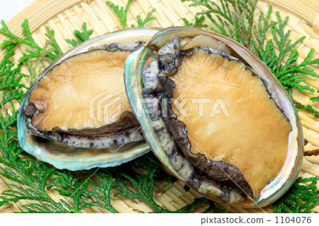 Abalone 1104076