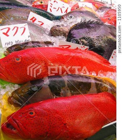沖繩的魚店 1105950
