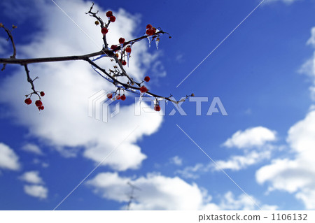藍天和白色雲彩 1106132