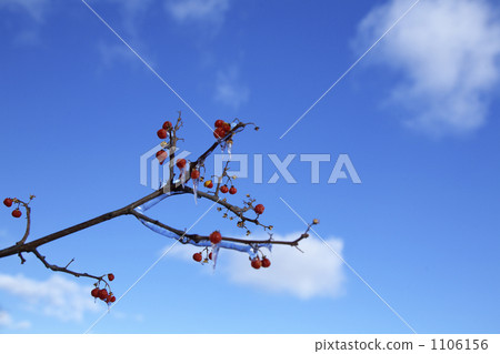 Blue sky 1106156