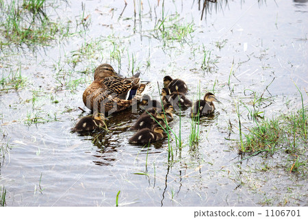 母親和孩子 1106701