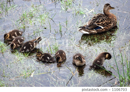 母親和孩子 1106703