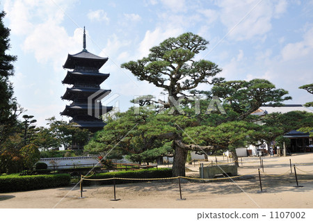 Pine tree and Kokubunji 5-storied pagoda 1107002