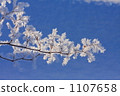 rime, bieicho, freeze 1107658